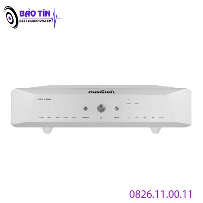 DAC MUSICIAN PEGASUS R2R