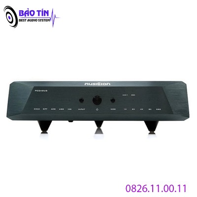 DAC MUSICIAN PEGASUS R2R