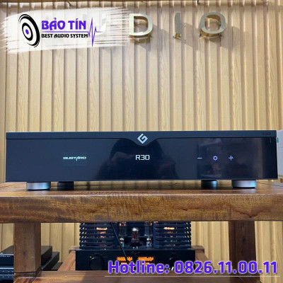 DAC GUSTARD R30 R2R