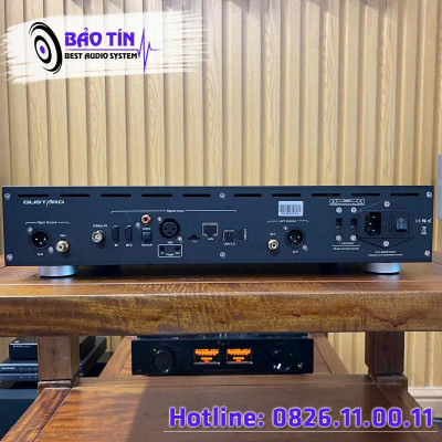 DAC GUSTARD R30 R2R