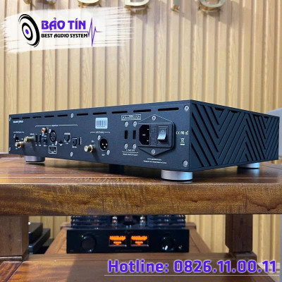 DAC GUSTARD R30 R2R