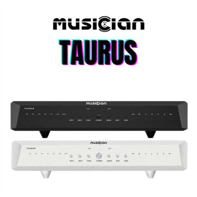 DAC MUSICIAN TAURUS R2R