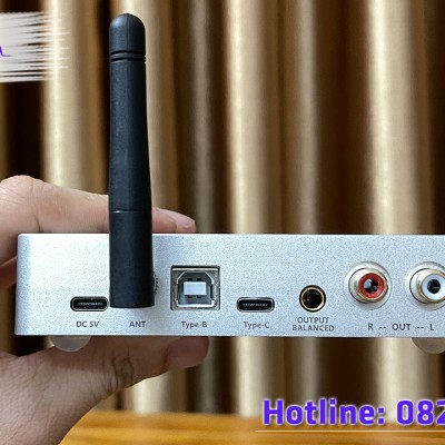 DAC BLUETOOTH CROWN D8B
